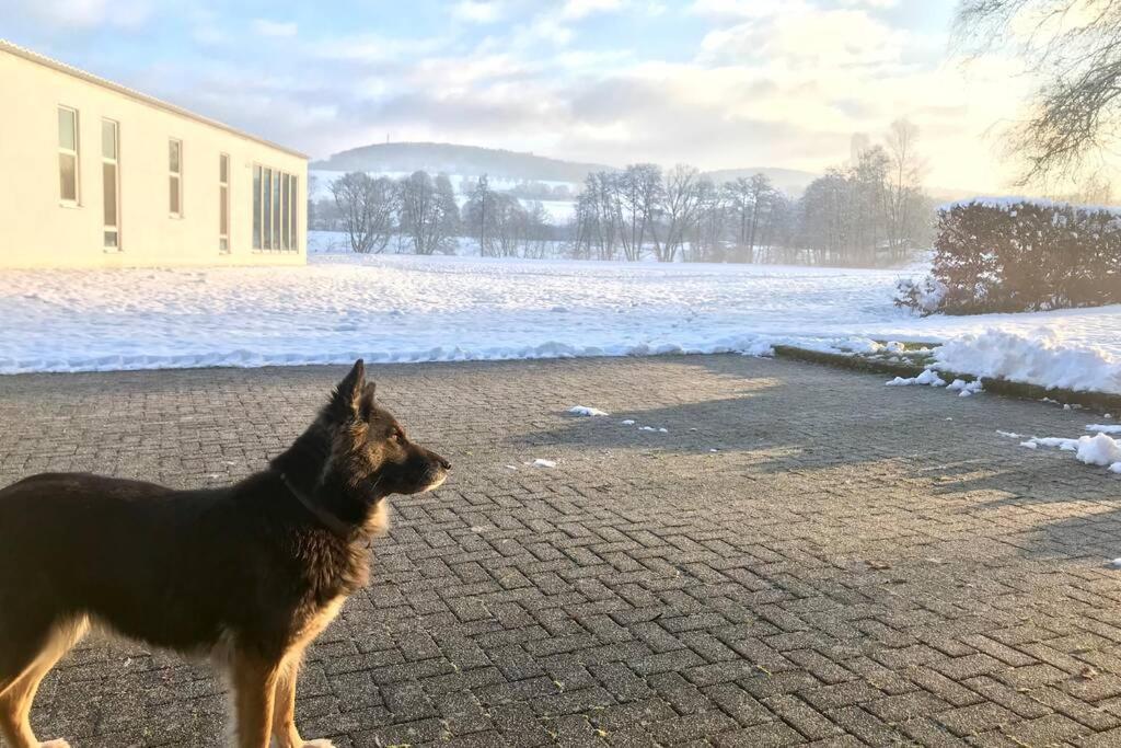 Ferienhaus Talblick Alpenrod Exteriör bild
